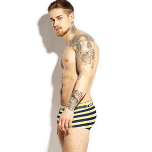 Stripe Underpants Knickers Sexy Men's Boxer Briefs Shorts Underwear Pants